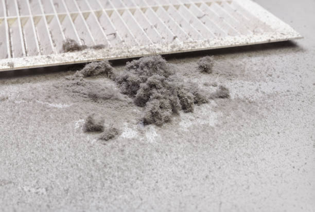 Best Air Duct Cleaning Near Me in Monroe City, MO